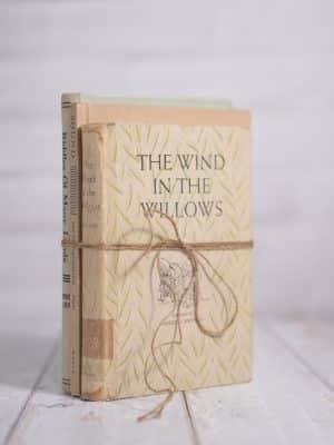 Neutral-toned Decorative Vintage Books Set tied with rustic string, including “The Wind in the Willows”